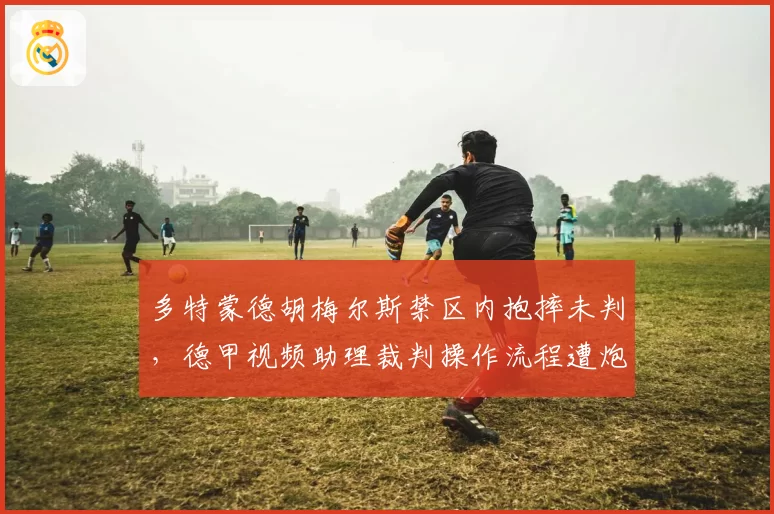 多特蒙德胡梅尔斯禁区内抱摔未判,德甲视频助理裁判操作流程遭炮轰