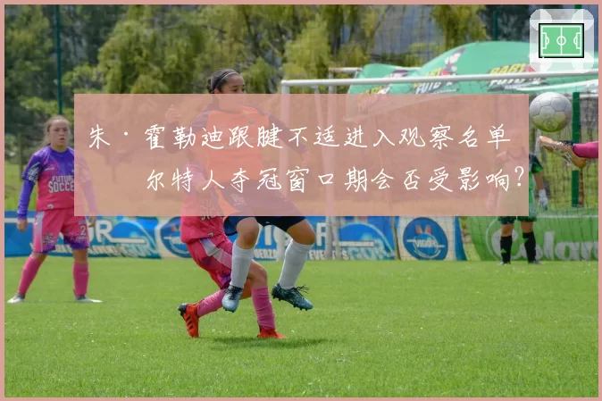 朱·霍勒迪跟腱不适进入观察名单 凯尔特人夺冠窗口期会否受影响？