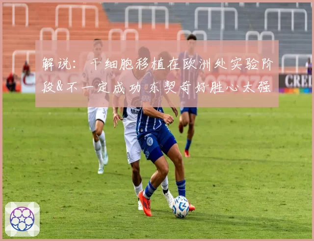 解说：干细胞移植在欧洲处实验阶段&不一定成功 东契奇好胜心太强